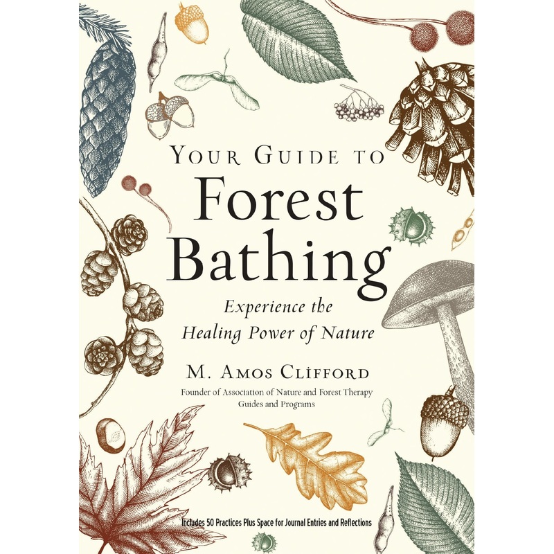 Your Guide To Forest Bathing (expanded Edition)