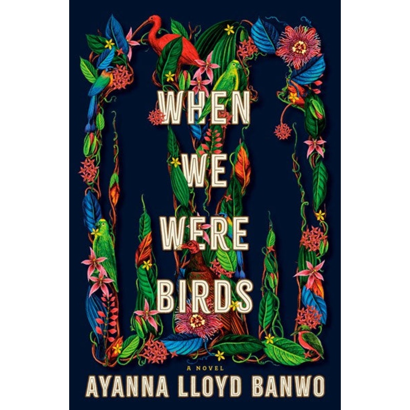 When We Were Birds : A Novel