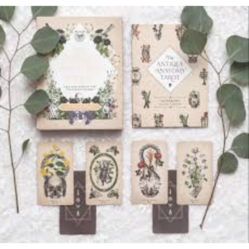 The Antique Anatomy Tarot