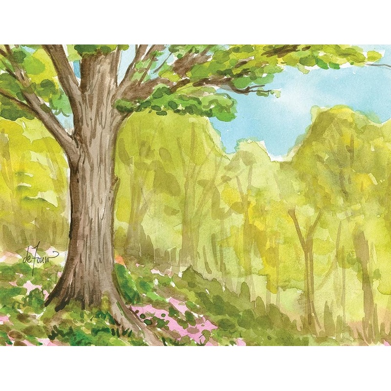 The Seasons Boxed Notecard Assortment (Jenny Geuder Art)