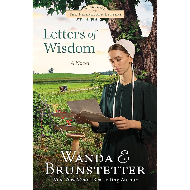 Letters of Wisdom (Friendship Letters, 3)