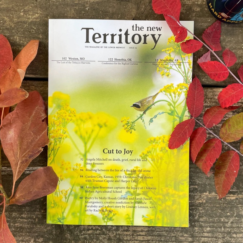 New Territory Magazine – Issue 16