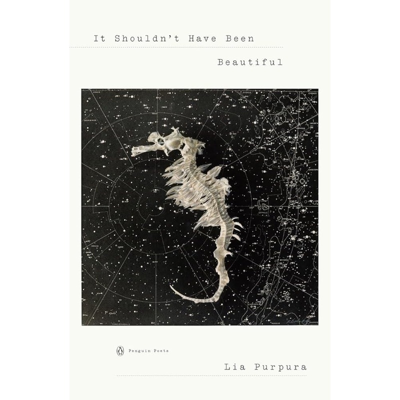 It Shouldn’t Have Been Beautiful (Penguin Poets)