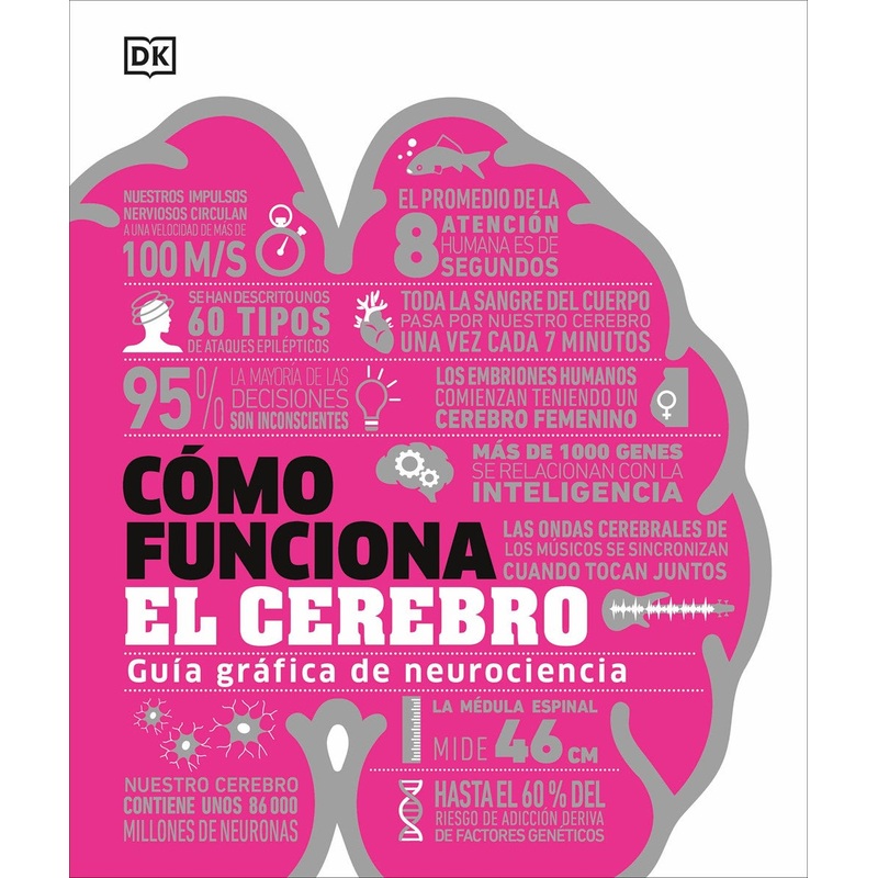 Cmo funciona el cerebro (How the Brain Works)
