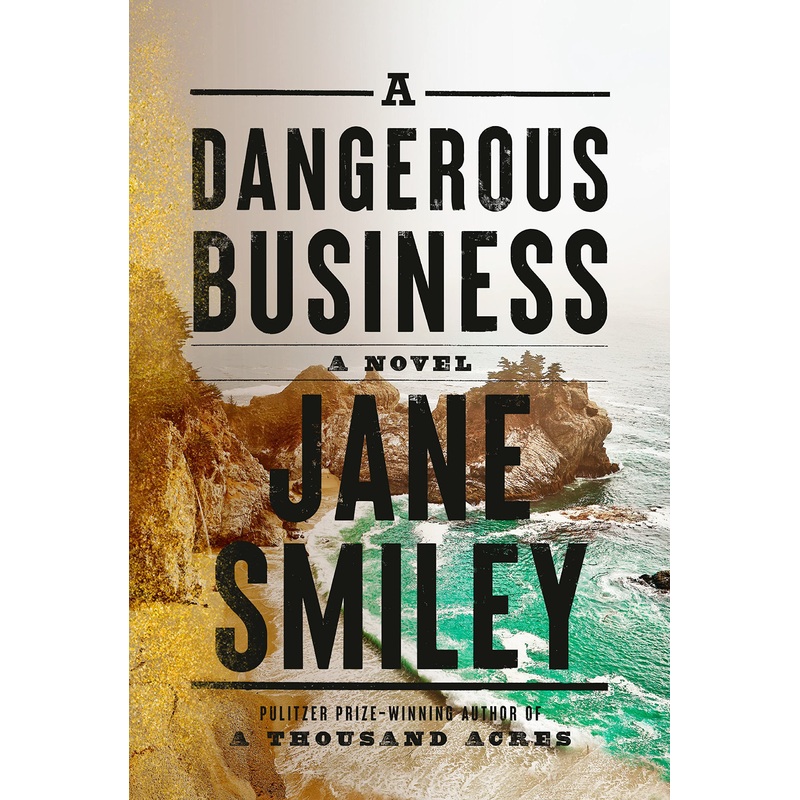 A Dangerous Business Paperback