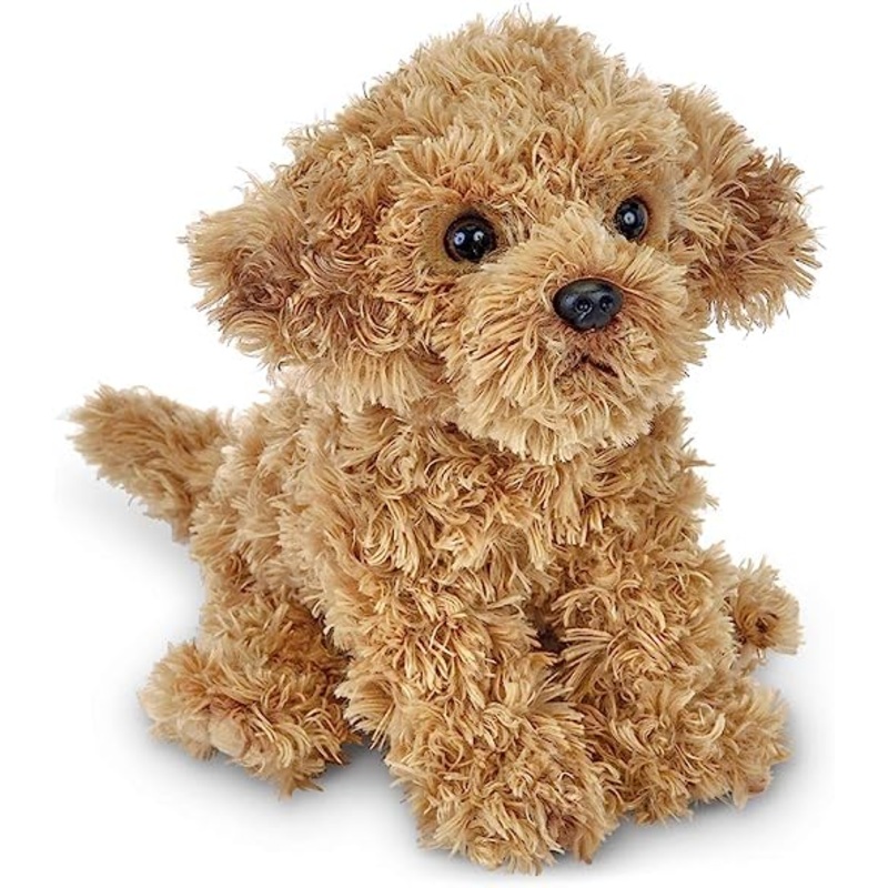Doodles the Labradoodle