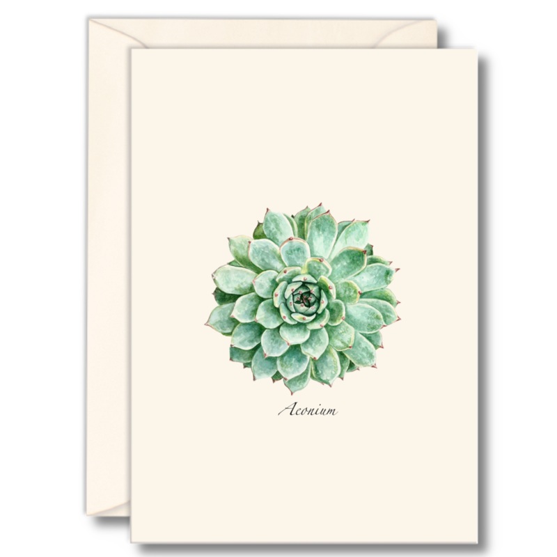 Succulent Greeting Card Set