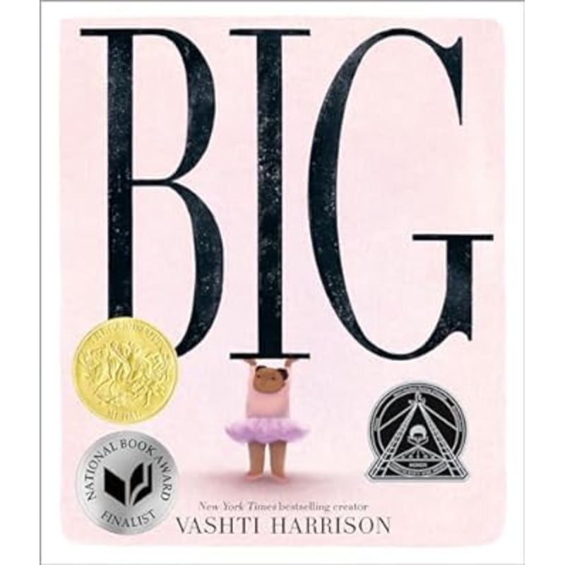 Big by Vashti Harrison