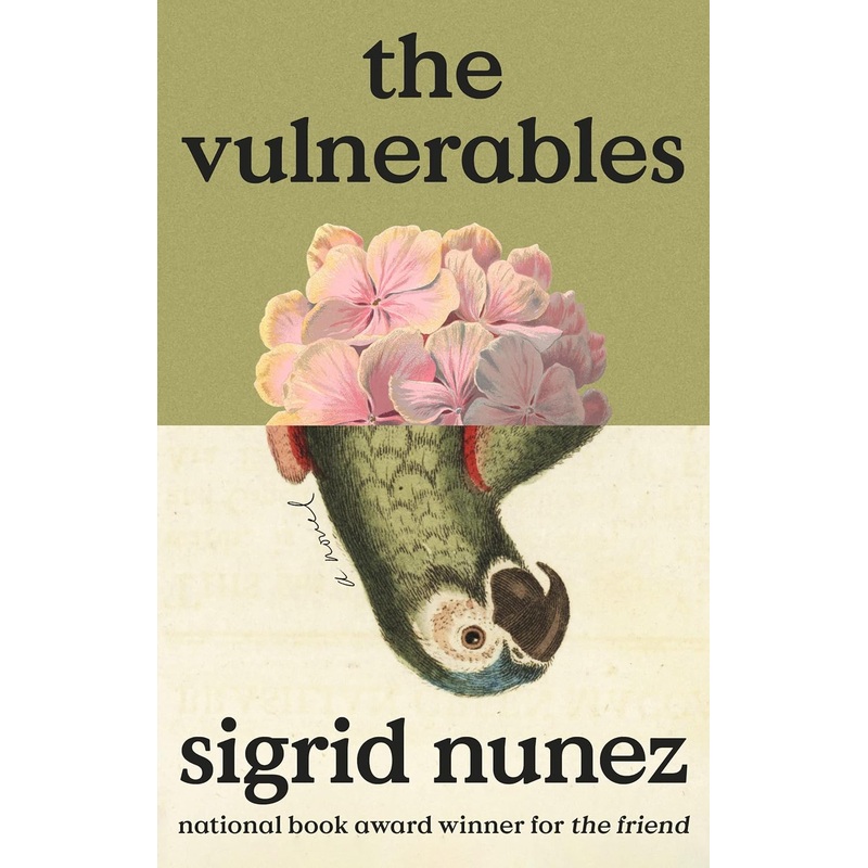 The Vulnerables: A Novel Hardcover