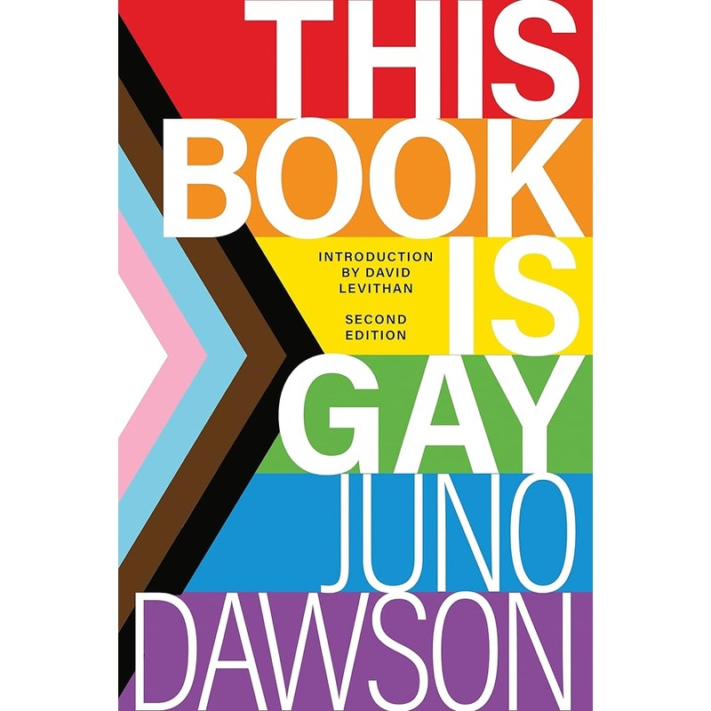 This Book Is Gay