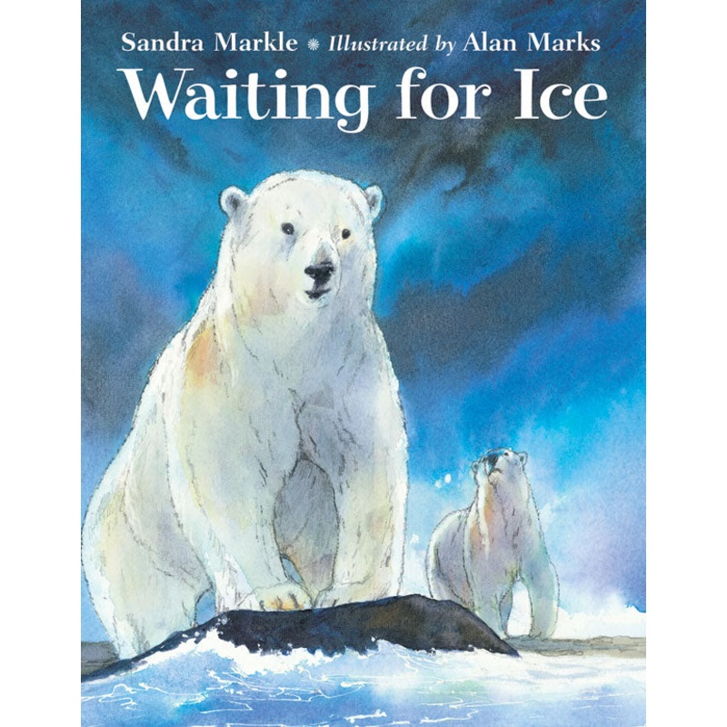 Waiting for Ice