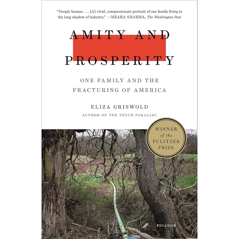 Amity and Prosperity: One Family and the Fracturing of America