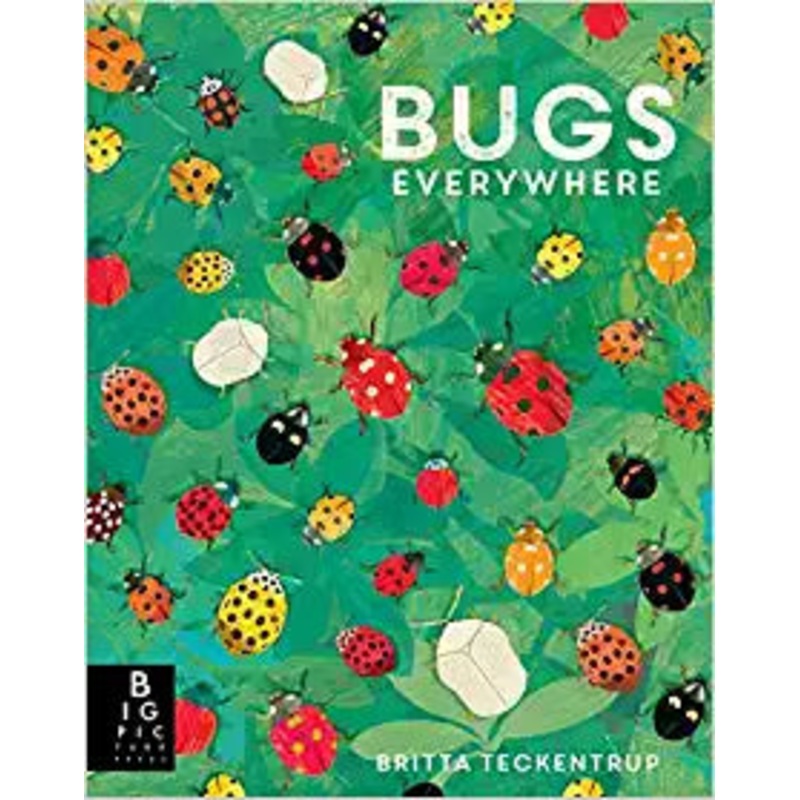 Bugs Everywhere Hardcover  Picture Book