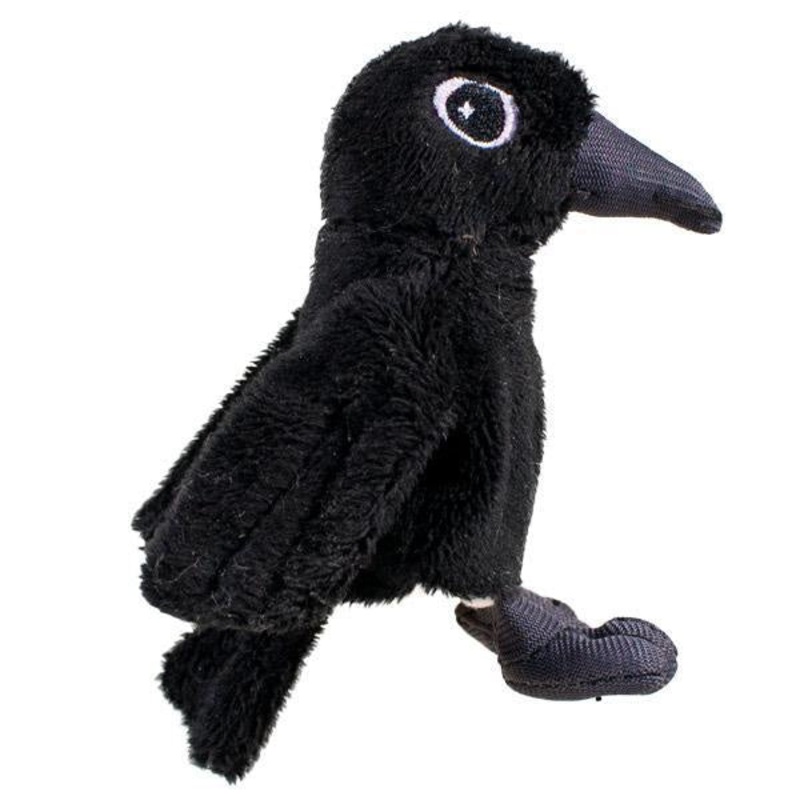 Poe’s Raven Magnetic Personality