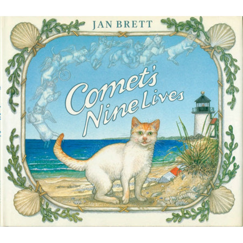 Comet’s Nine Lives