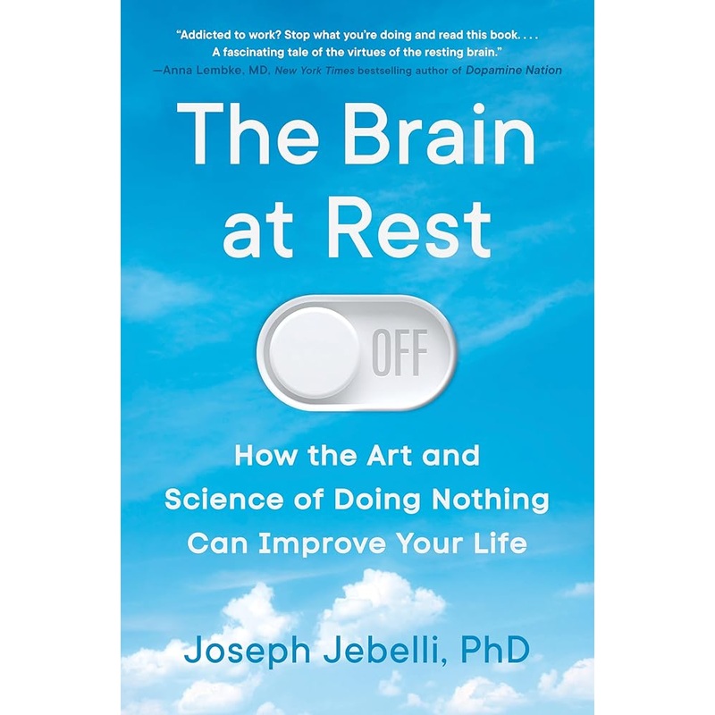 The Brain at Rest: How the Art and Science of Doing Nothing Can Improve Your Life