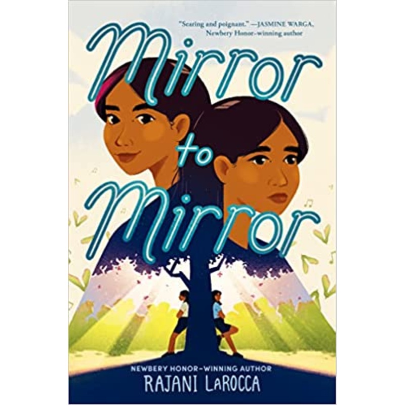 Mirror to Mirror Hardcover