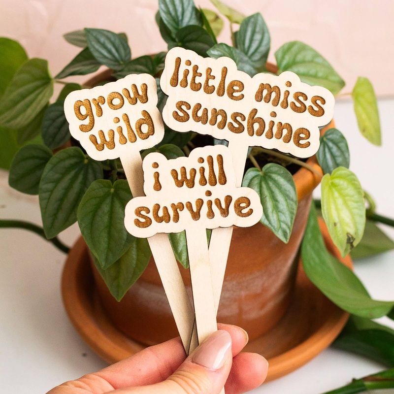 Retro Funny Wooden Plant Markers grow wild