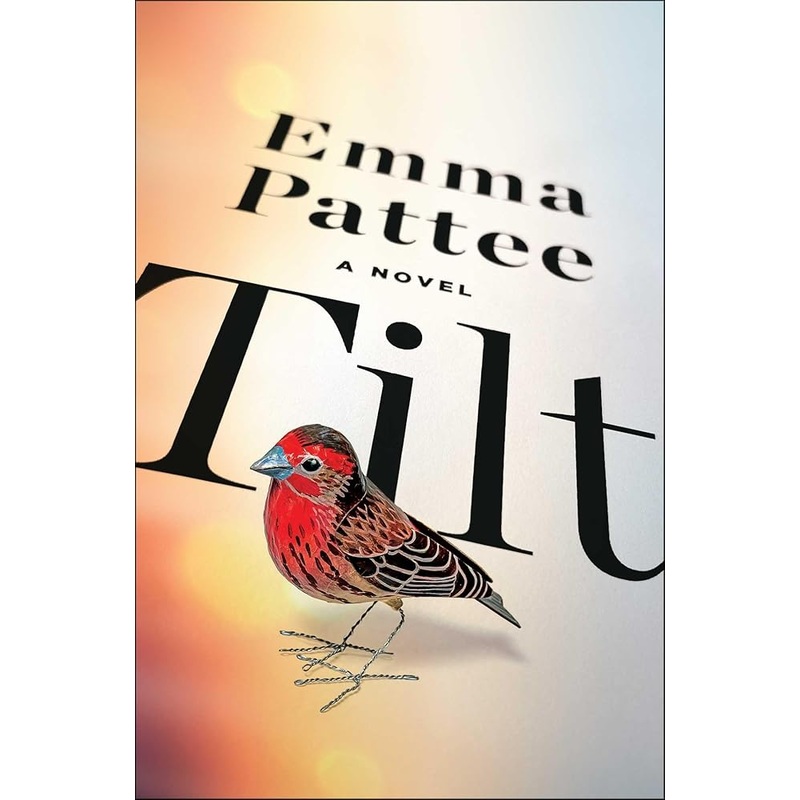Tilt: A Novel