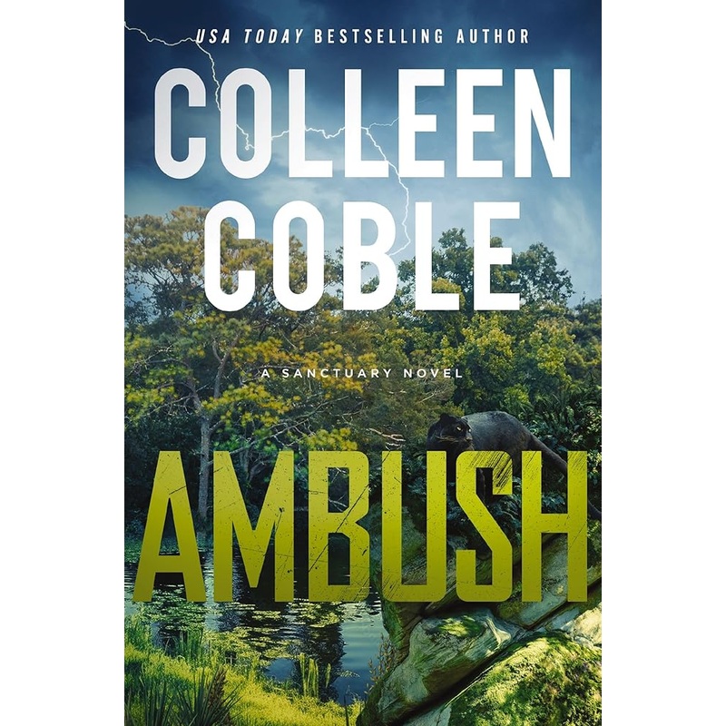 Ambush: A Small-Town Romantic Suspense (A Sanctuary Novel)