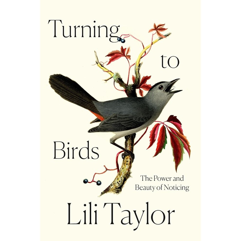 Turning to Birds: The Power and Beauty of Noticing