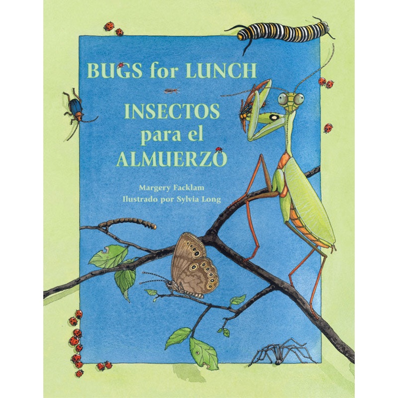 Insectos para el almuerzo/Bugs for Lunch
