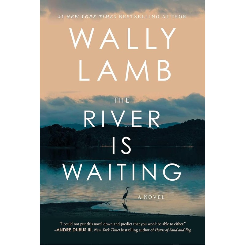 The River Is Waiting: A Novel