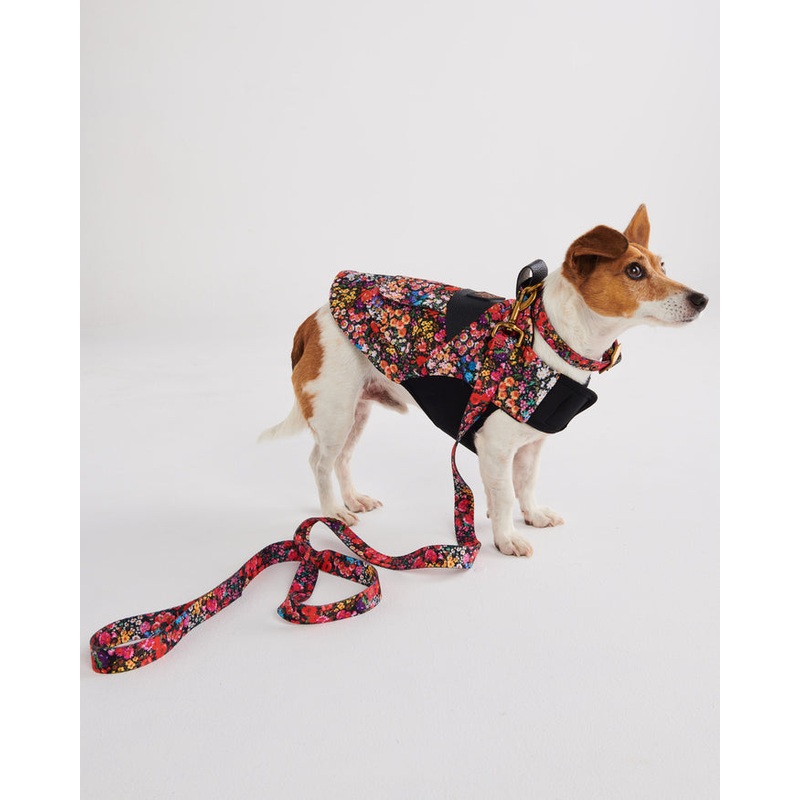 Forever Floral Black Dog Lead Small