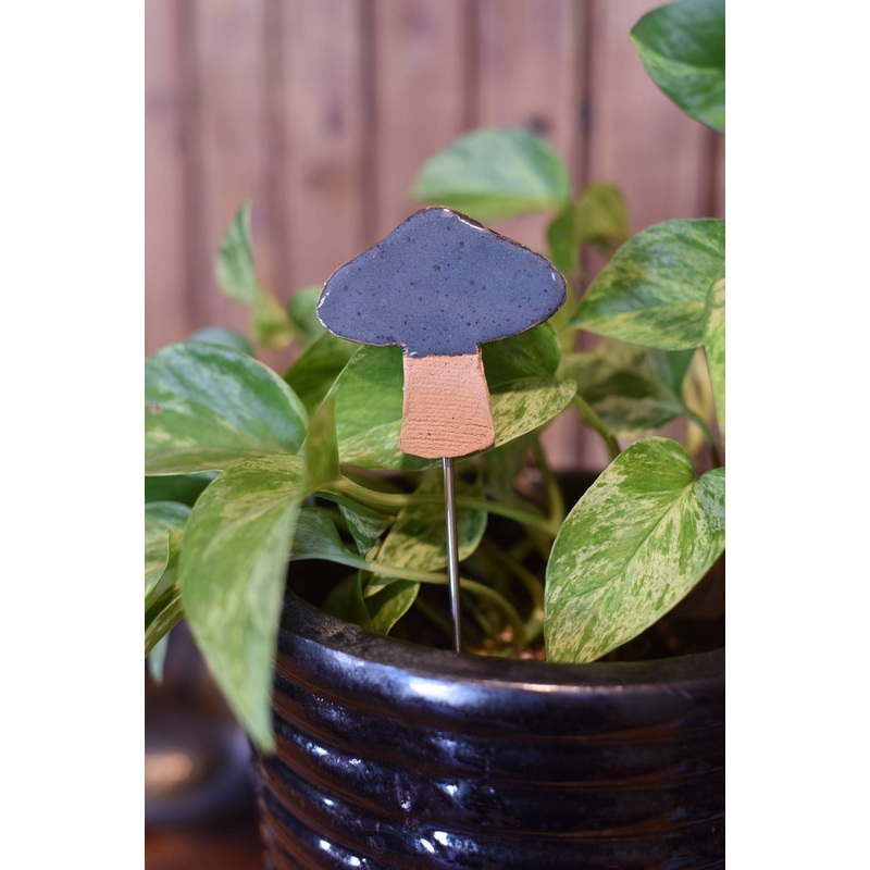 Plant Buddies – Mushroom
