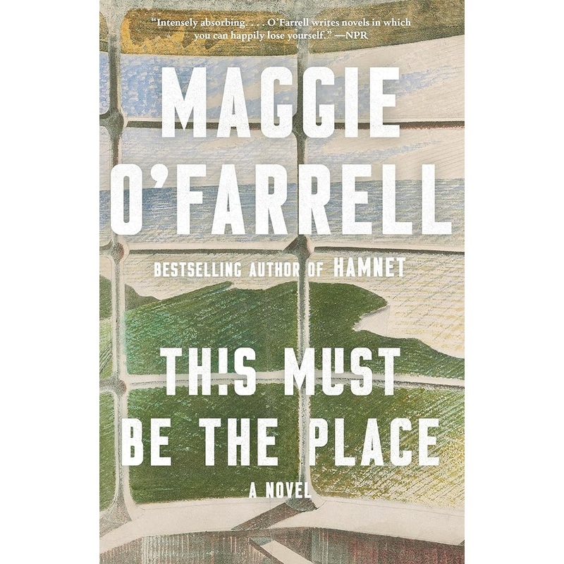 This Must Be the Place (Vintage Contemporaries)