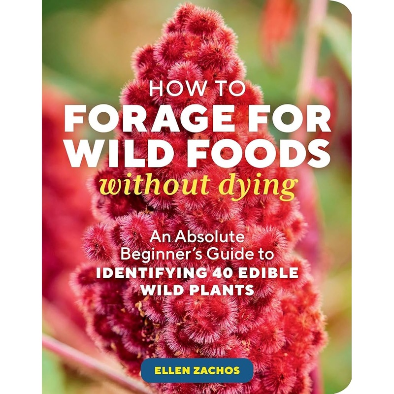 How to Forage for Wild Foods without Dying: An Absolute Beginner’s Guide to Identifying 40 Edible Wild Plants