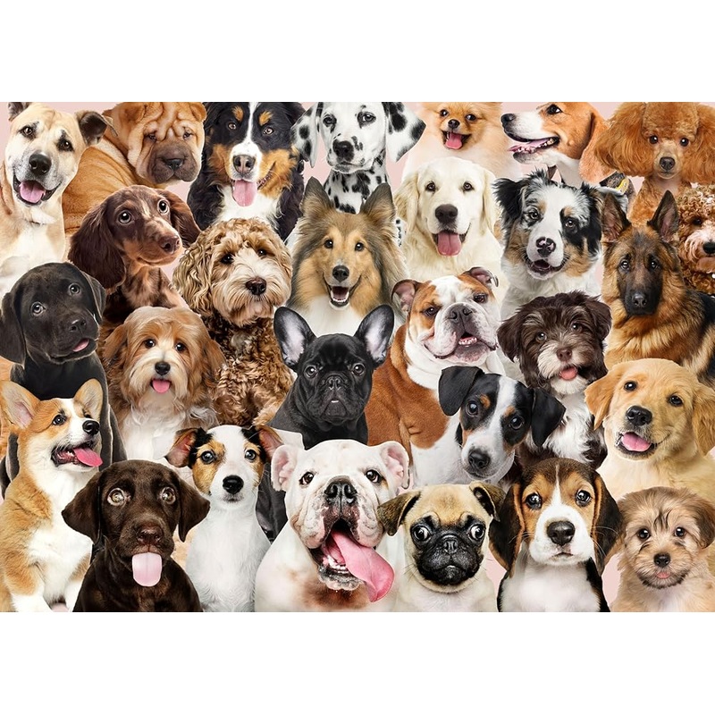 All the Dogs Jigsaw Puzzle