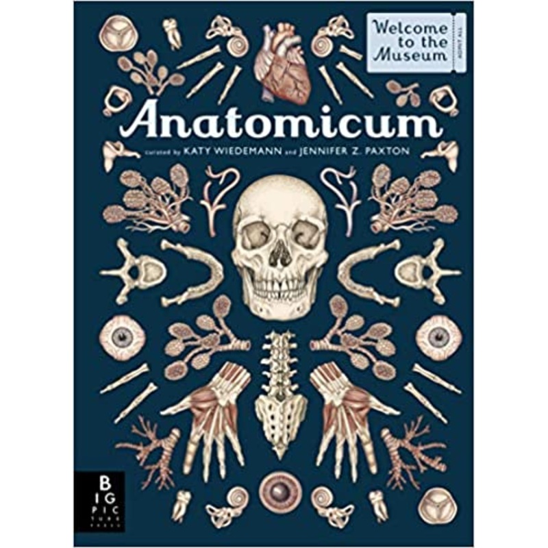 Anatomicum: Welcome to the Museum