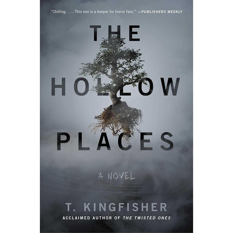 The Hollow Places: A Novel