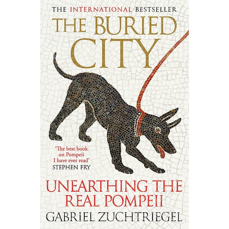 THE BURIED CITY