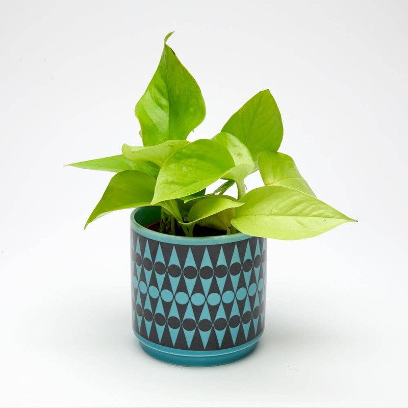 Magpie x Hornsea Small Planty – Plant Pot Backgammon Teal