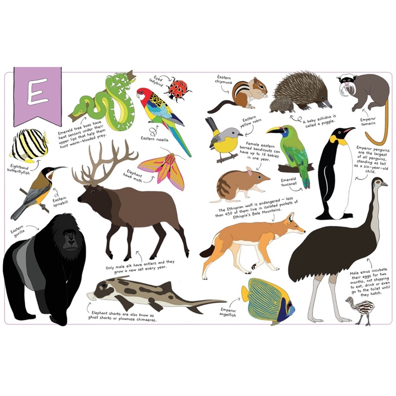 The Ultimate Animal Alphabet Book