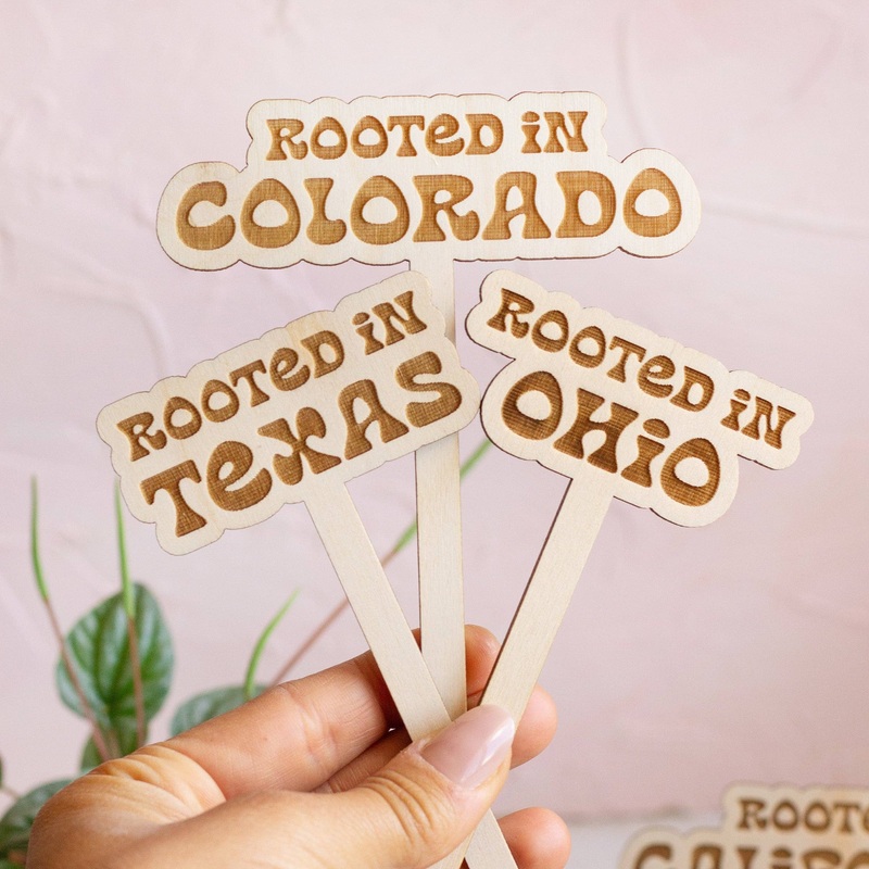 Retro State Name Plant Stakes Kansas