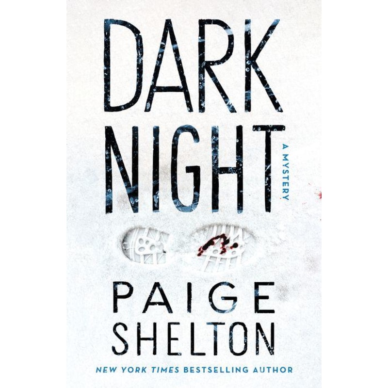 Dark Night: A Mystery Hardcover