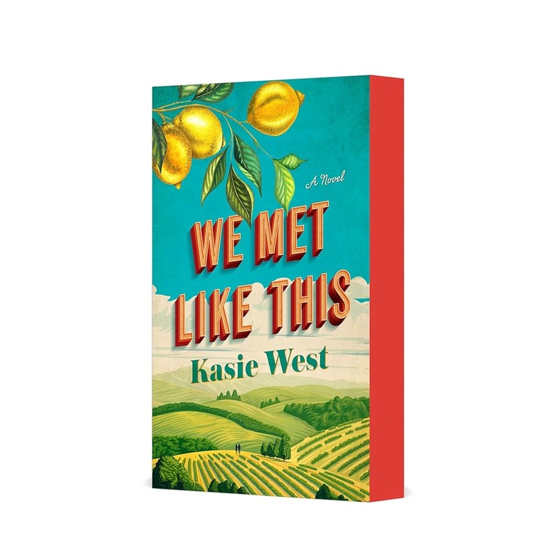 (09/16/25 PREORDER) We Met Like This: A Novel