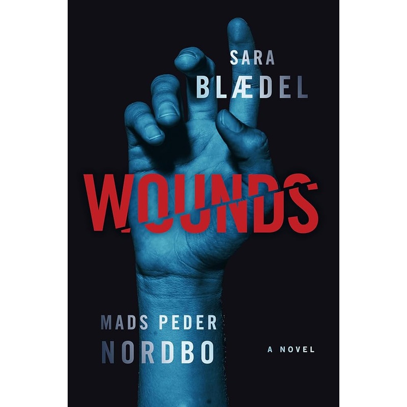 Wounds: A Novel