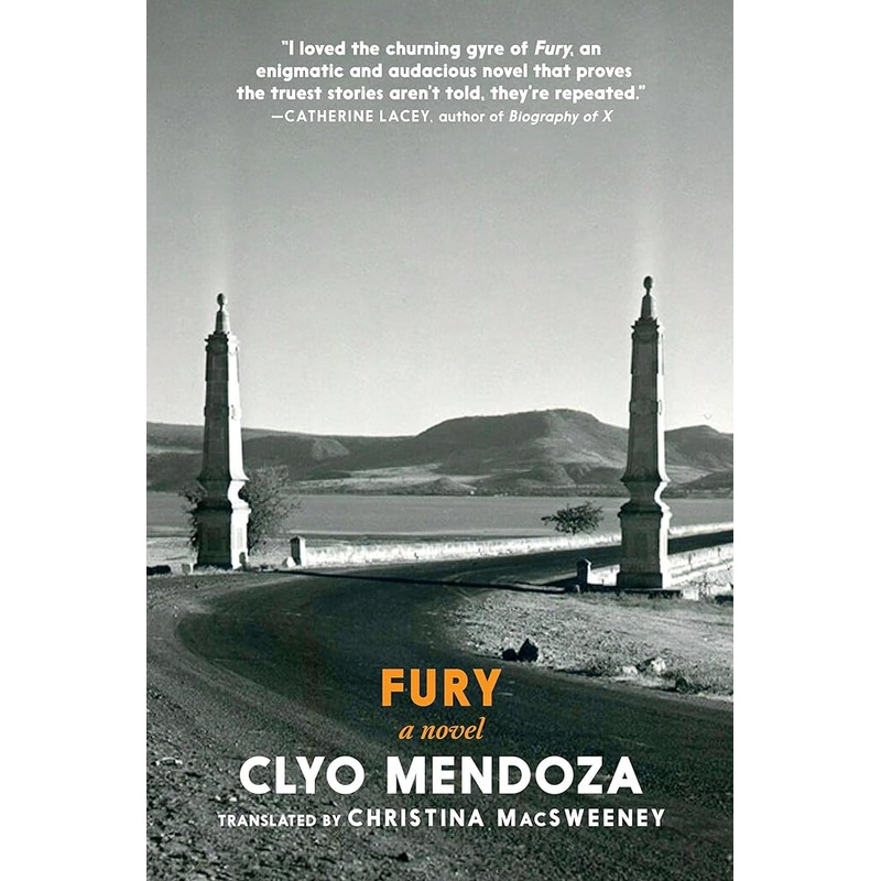 Fury: A Novel