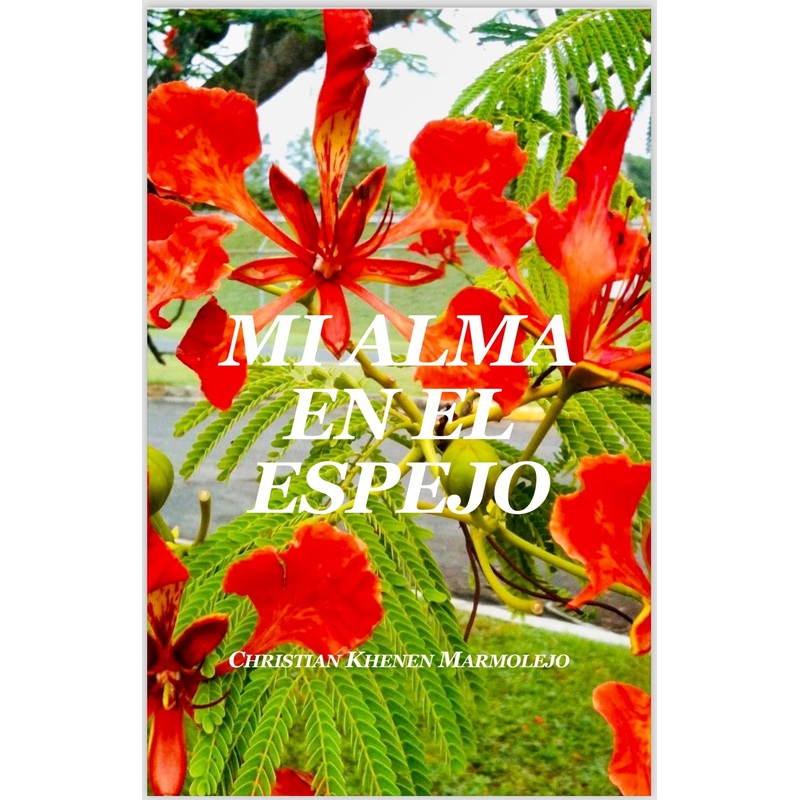 Mi Alma en el Espejo