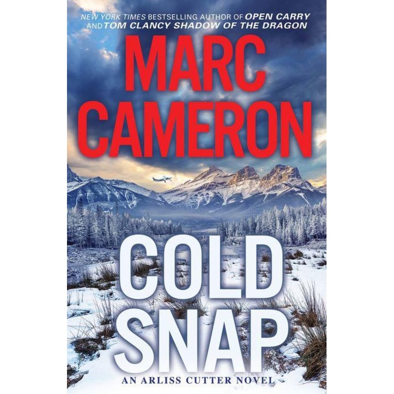Cold Snap : An Action Packed Novel of Suspense Hardcover