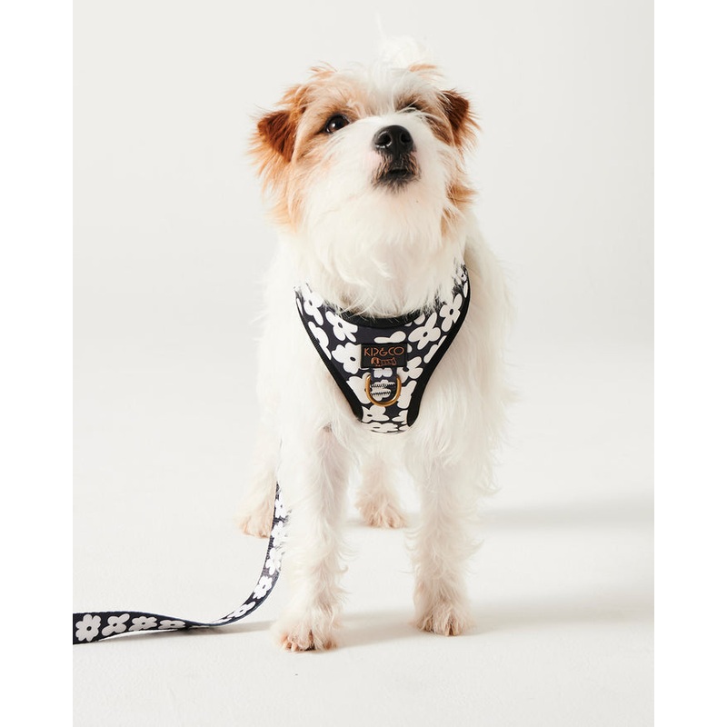 Flower Face Dog Harness Large