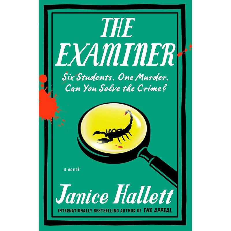 The Examiner: A Novel