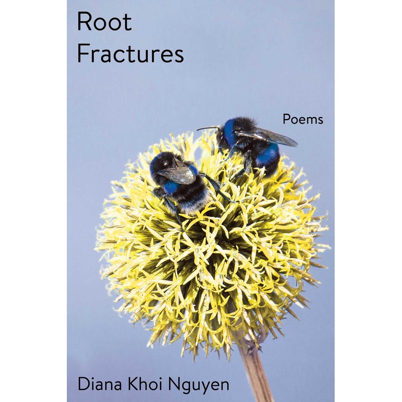 Root Fractures