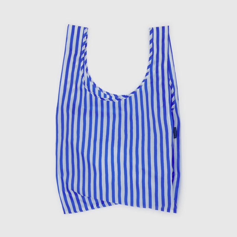 Standard Baggu: Blue Painted Stripe
