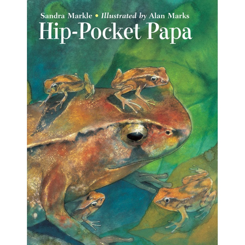 Hip-Pocket Papa