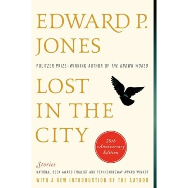 Lost in the City – 20th anniversary edition: Stories